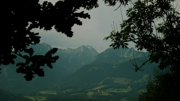 Mountain range viewed through tree branches