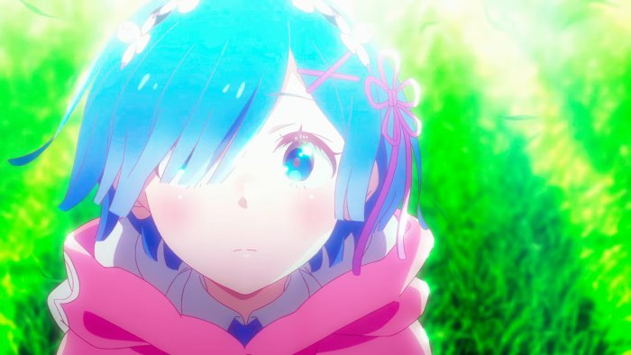 Rem from Re:Zero in a pink cloak with flowers in her hair