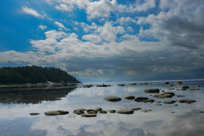 Rocky shoreline with trees under a cloudy sky