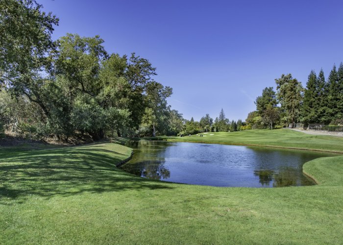 Golf course with a pond and trees