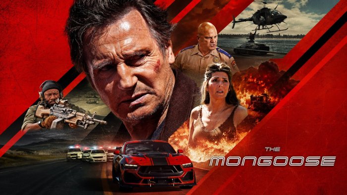 The Mongoose Movie Poster with Liam Neeson