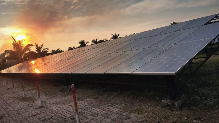 Solar panels at sunset with palm trees