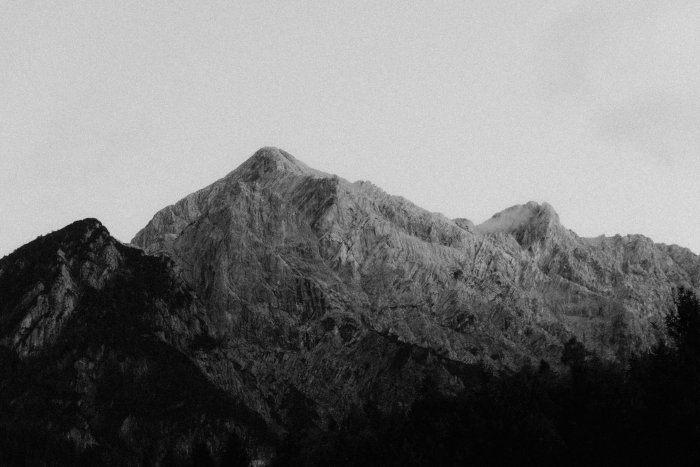 Monochromatic Mountain Range with Forest