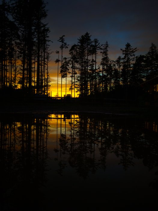 Sunset over a forest with reflection in water