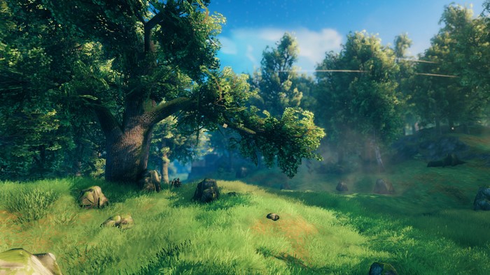 Valheim forest landscape with trees and grass