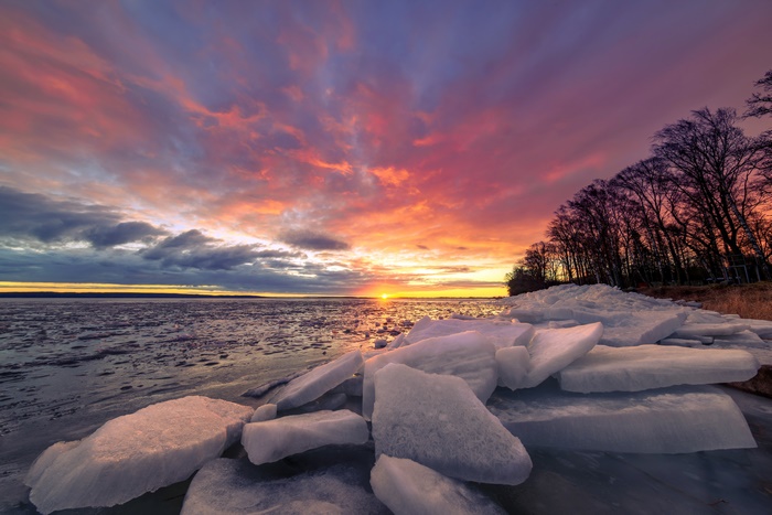 Sunset over icy water with trees
