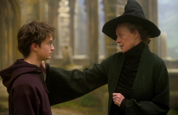 Minerva McGonagall and Harry Potter from Harry Potter