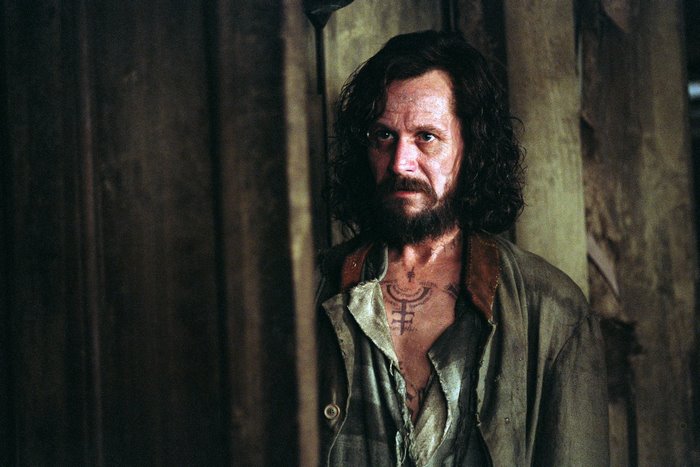 Sirius Black from Harry Potter