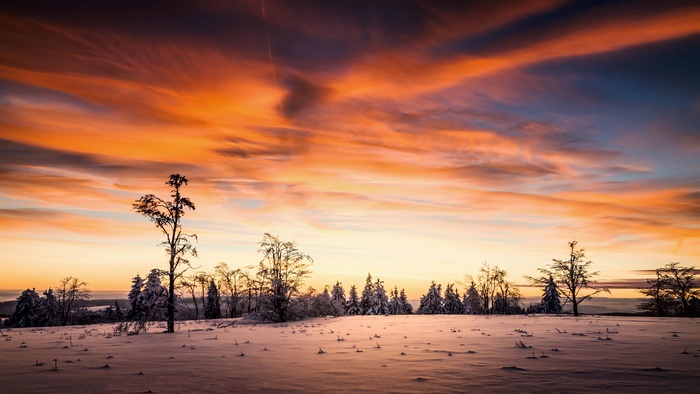 Winter sunset over a snowy landscape with trees