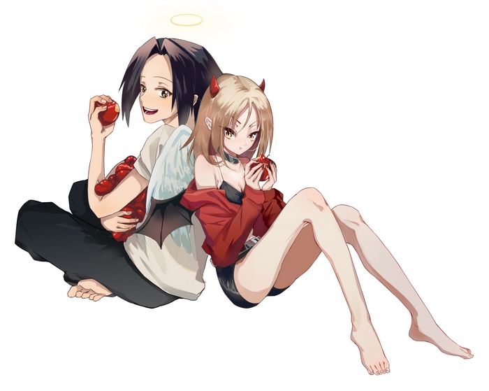 Anna Kyoyama and Yoh Asakura from Shaman King