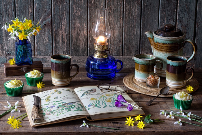 Still life with daffodils, cupcakes, and a book
