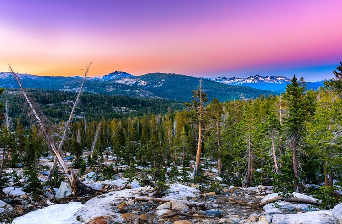 Mountain landscape with pine forest and snow-capped peaks at sunset