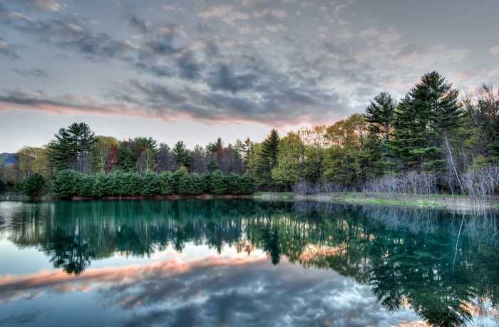 Lake with Trees and Cloudy Sky Reflection