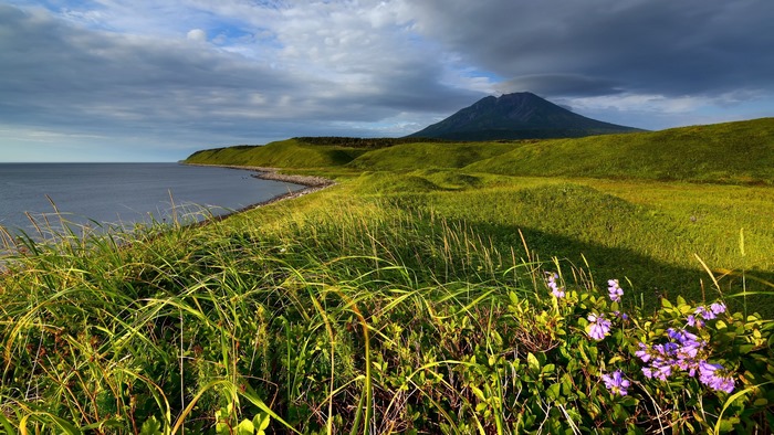 Coastal landscape with rolling green hills and a mountain
