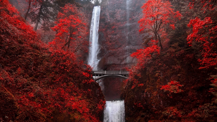Multnomah Falls with bridge and red foliage