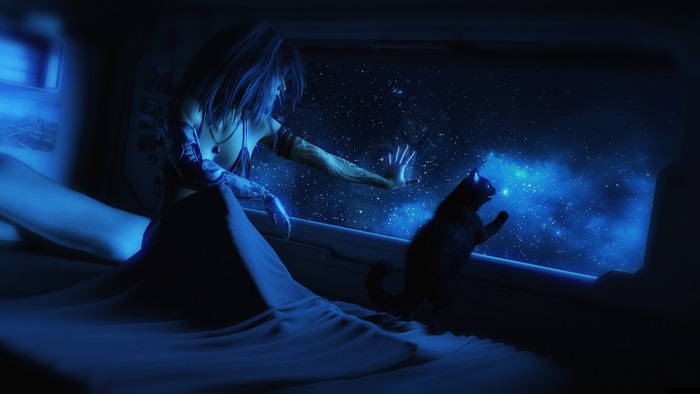 Woman and cat looking at stars from a spaceship window