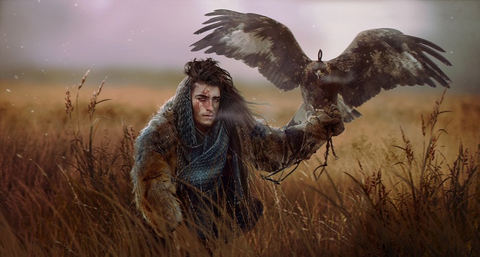 Man with eagle in a field