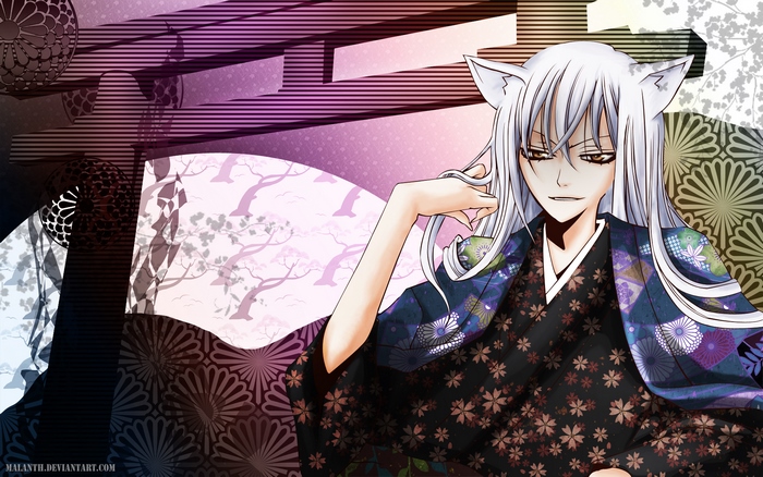 Tomoe from Kamisama Kiss