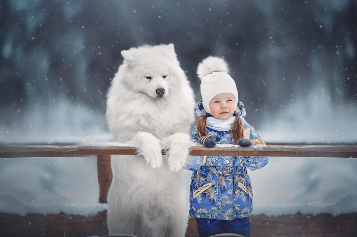 Girl and Samoyed dog in winter