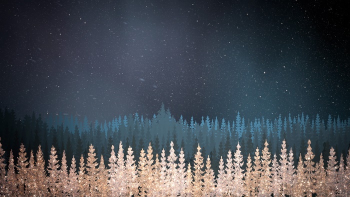Sparkling Forest Under a Starry Night Sky