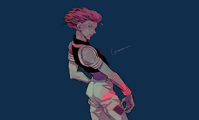 Hisoka from Hunter x Hunter