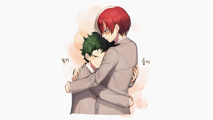 Izuku Midoriya and Shoto Todoroki from My Hero Academia