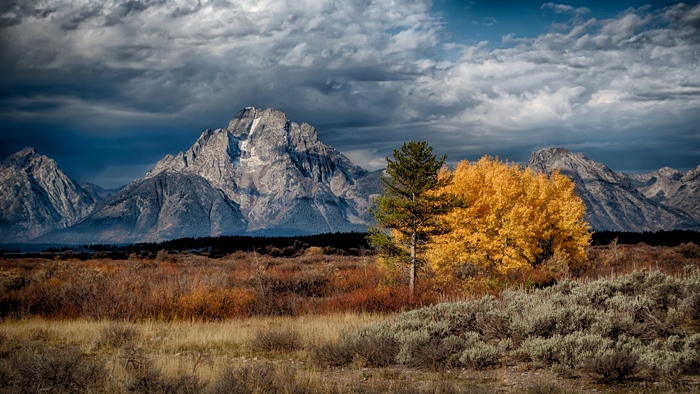 Grand Teton Mountains with Autumn Trees