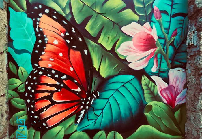 Monarch butterfly and flowers graffiti