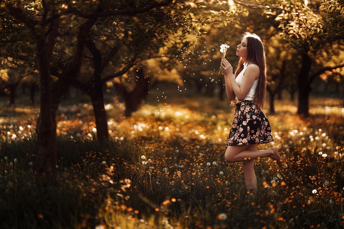 Woman with Long Hair in Sunlit Field