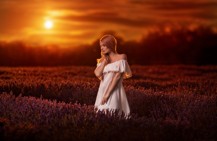 Woman in white dress in lavender field at sunset