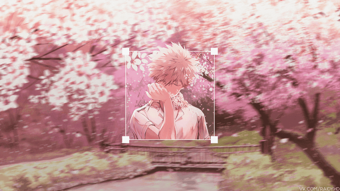 Katsuki Bakugou 4K Cherry Blossom Scene