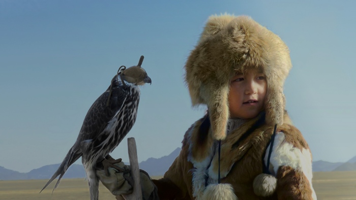 Young Mongolian child with a falcon in the steppe