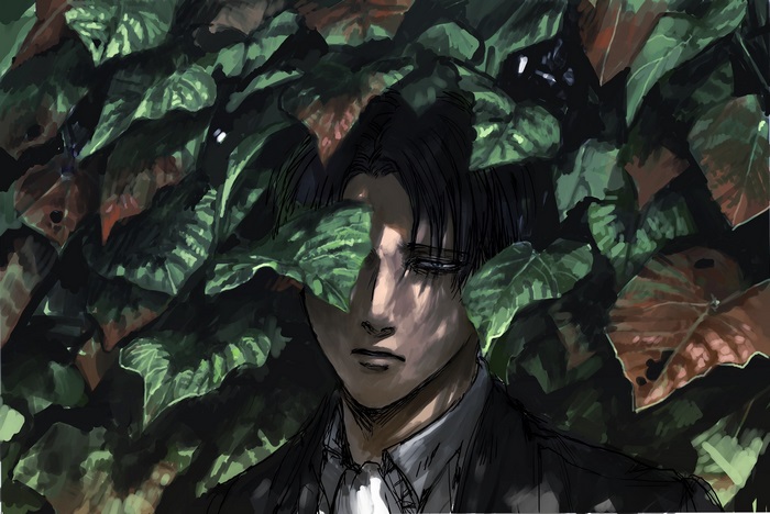 Levi Ackerman from Shingeki No Kyojin