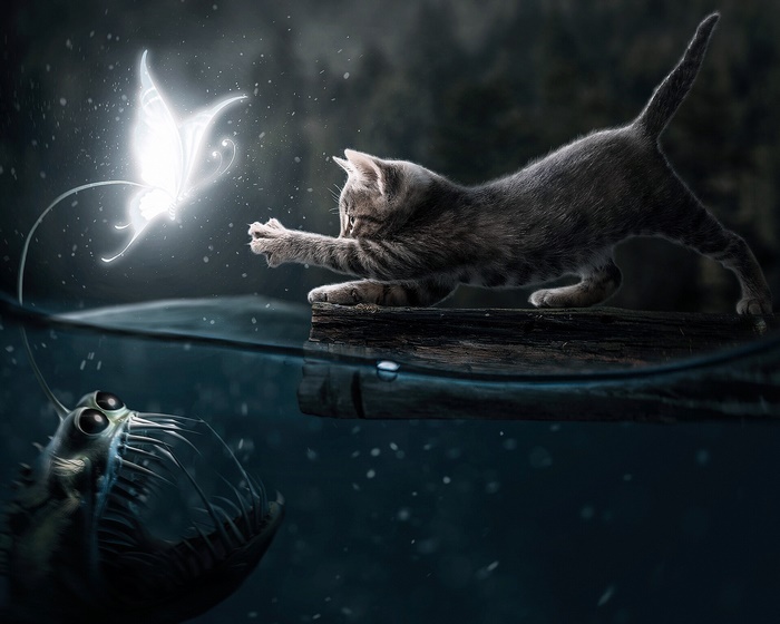 Fantasy cat reaching for glowing butterfly above creepy fish