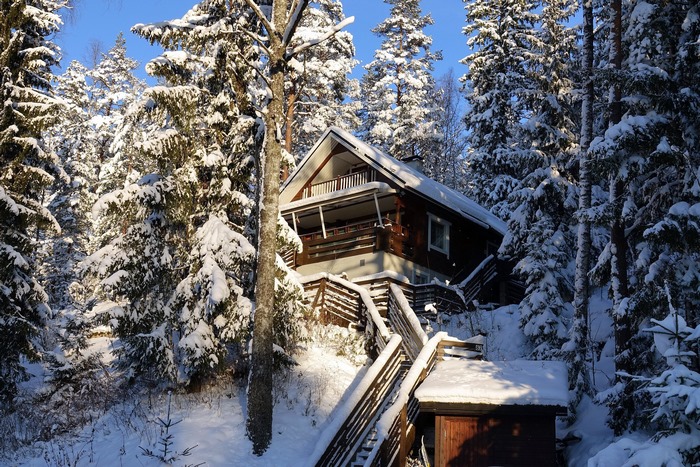 Wooden house in snowy forest
