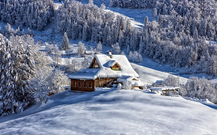 Snow-covered house in a winter forest