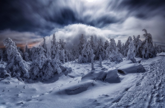 Winter forest in Germany with snow and clouds