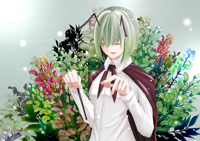 Wriggle Nightbug from Touhou
