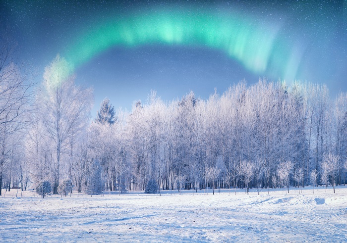 Aurora Borealis over a snow-covered forest
