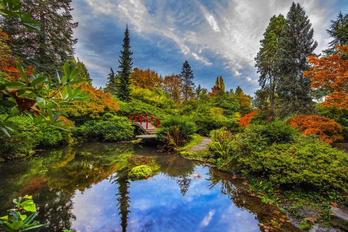 Autumn garden with pond and red bridge