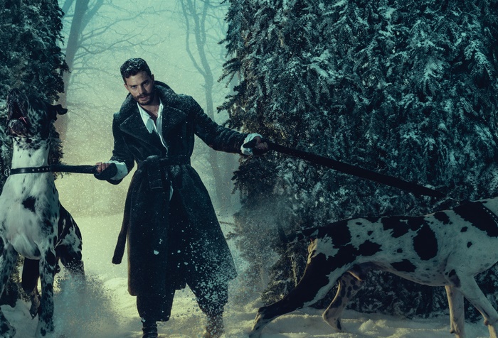 Jamie Dornan walking two dogs in the snow
