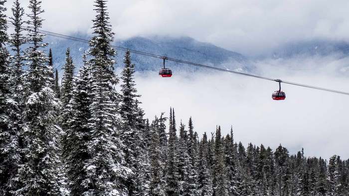 Red gondolas on a ski lift in a snowy forest