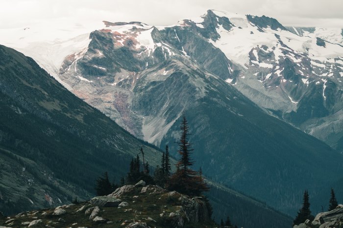 Snow-capped mountains and evergreen forest