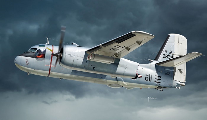 Grumman C-2 Greyhound transport aircraft in flight