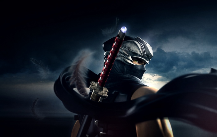 Ryu Hayabusa from Ninja Gaiden