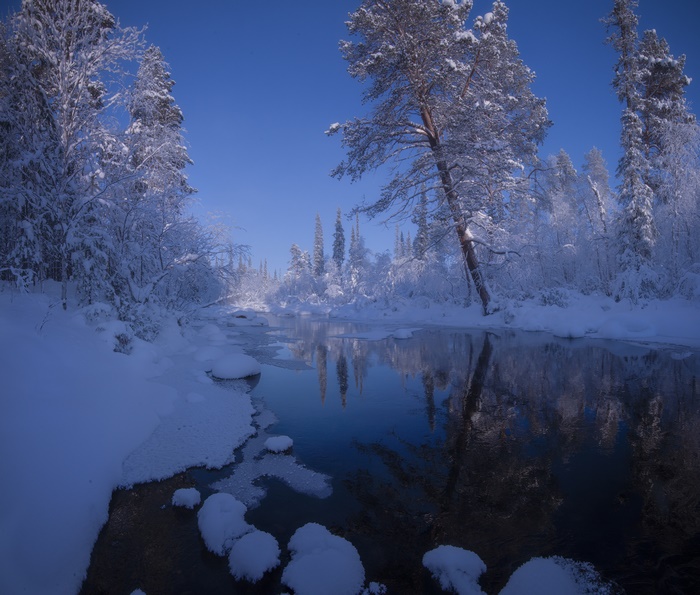 Snowy River in a Winter Forest