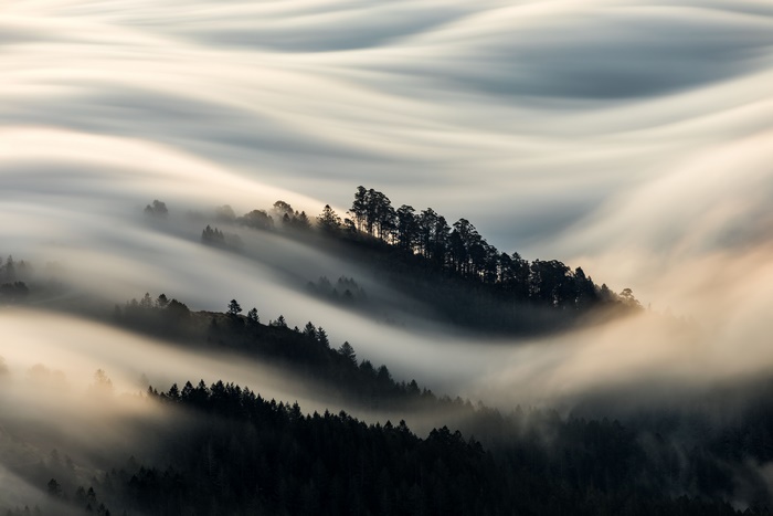 Fog Rolling Over Forested Hills