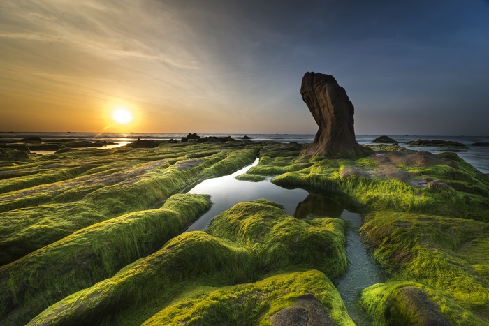 Sunset over algae-covered rocks on a rocky shore
