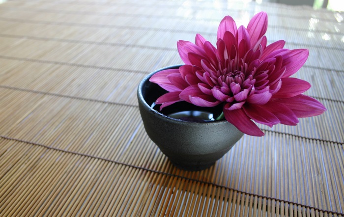 Pink Chrysanthemum in a Bowl