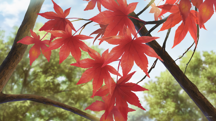 Red Maple Leaves on Tree Branches